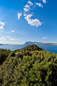 Punta Coda Cavallo