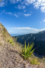 Ile de La Réunion