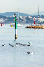 La Seyne-sur-Mer