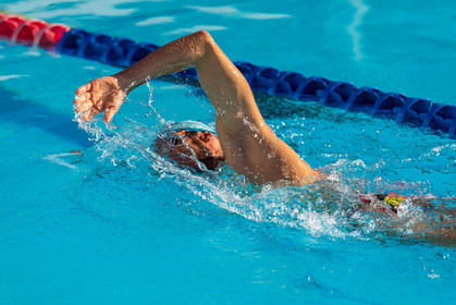 Natation