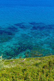 Lozari