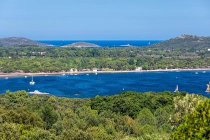 Benedettu