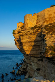 Bonifacio