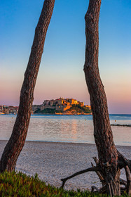 Calvi