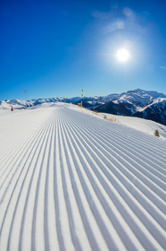 Auron