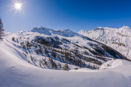 Auron