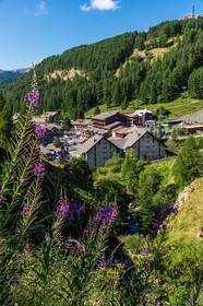 La-Foux-d'Allos