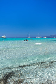 Saleccia