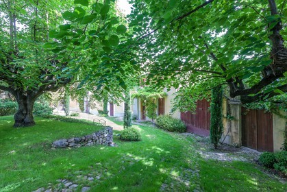 Opio