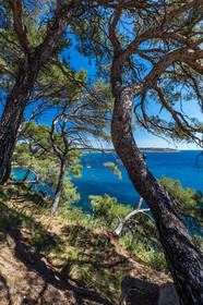 Plage de Fabrégas