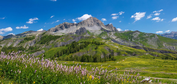 Col des Champs