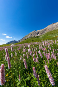 Col des Champs