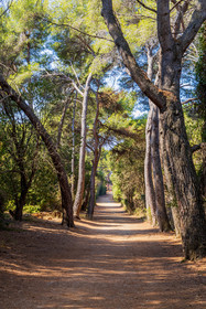 Lérins Sainte-Marguerite 2023