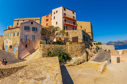 Calvi