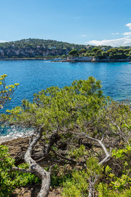 Saint-Jean-Cap-Ferrat.