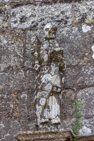Cast