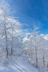 La Foux-d'Allos