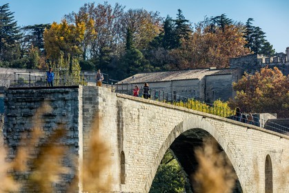 Avignon