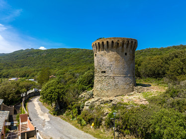 Meria