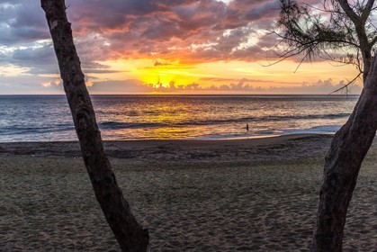 Ile de La Réunion