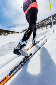 Ski-de-fond