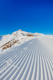 Auron