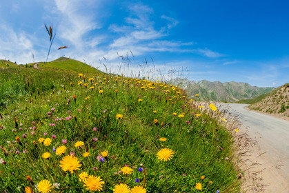 Col d'Allos