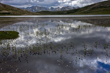 GR 20 Nord
