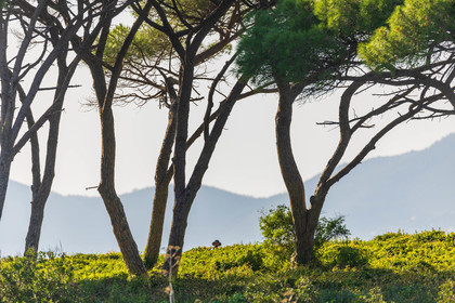 Lérins Sainte-Marguerite
