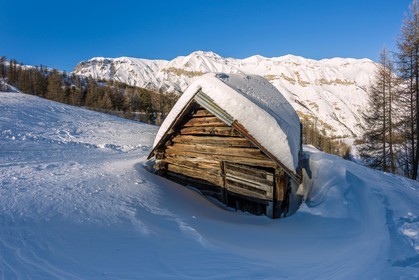 Auron