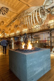 Musée Océanographique de Monaco