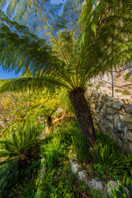 Eze Jardin exotique