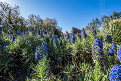 Parc Braudel