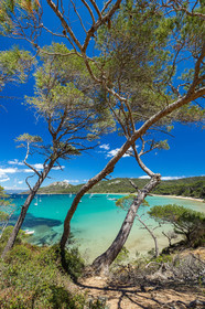 Porquerolles
