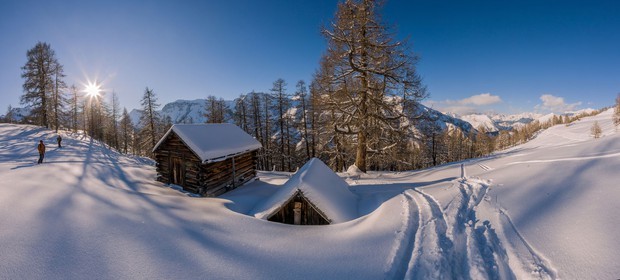 Auron