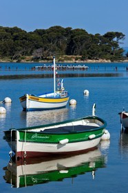 Pointus du Brusc