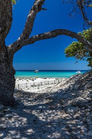 Saleccia