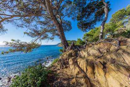 Saint-Mandrier-sur-Mer