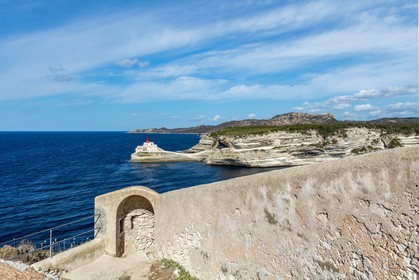 Bonifacio