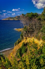Galéria
