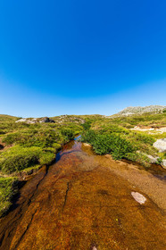 Plateau du Coscione