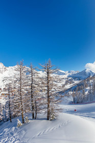 Isola 2000