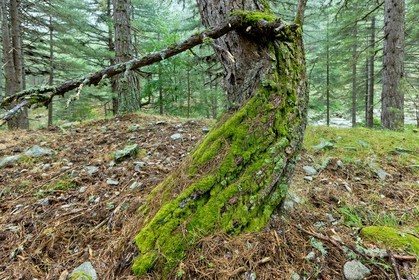 GR 20 Nord