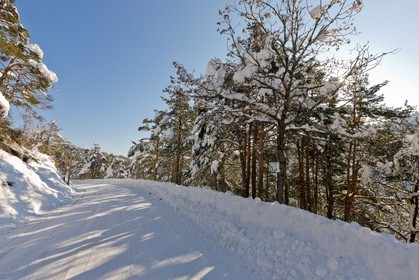 Route enneigée