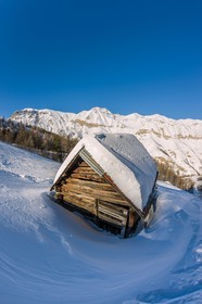 Auron