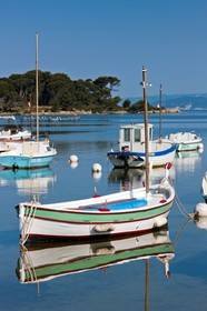 Pointus du Brusc
