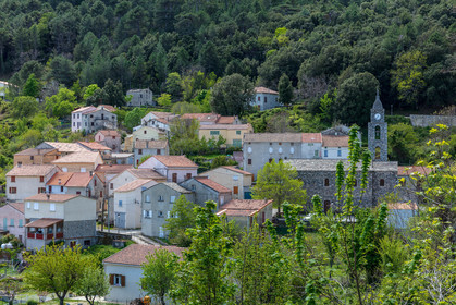 Rospigliani