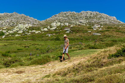 Plateau du Coscione