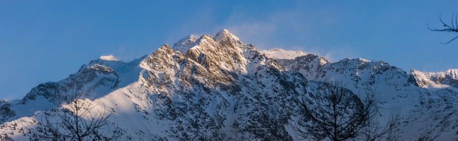 Auron