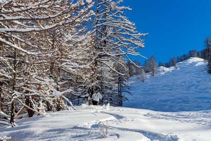 Auron